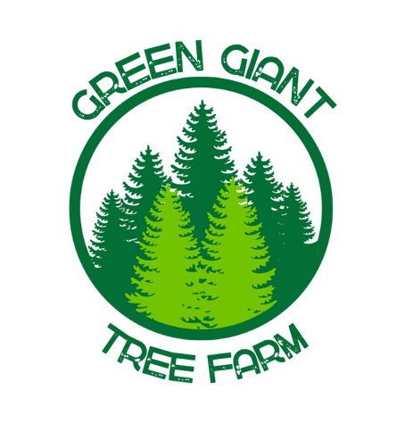 green giant tree farm
